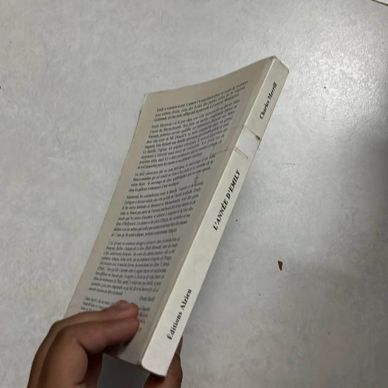 L’année D’emily - Chales Merrill 503540