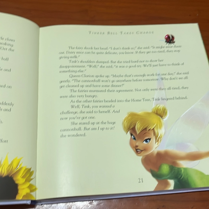 PICTURE BOOK Disney fairies Storybook collection 536429