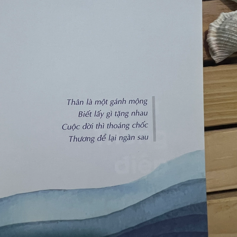 Sách Nhà - Nguyễn Bảo Trung, sách mới 98% 528164