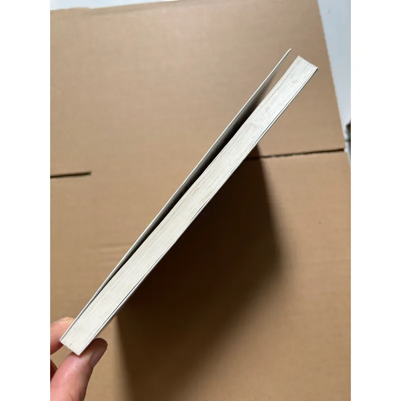 Những gì đã qua đừng nghĩ lại quá nhiều Minh Mẫn - Du Phong 928460