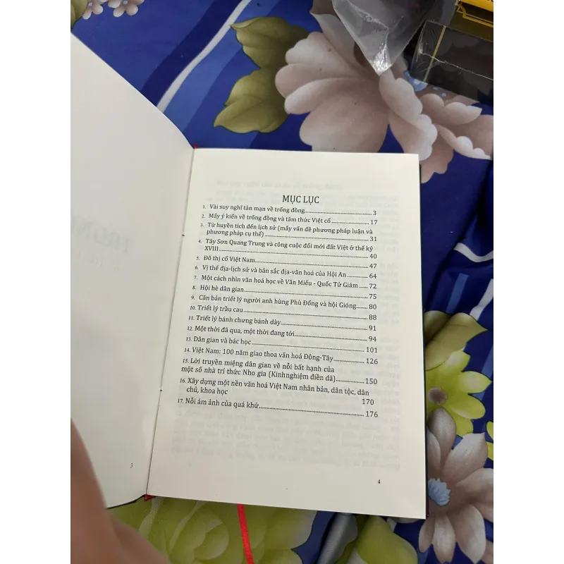 Trong Cõi - Trần Quốc Vượng (Bìa cứng) 602028