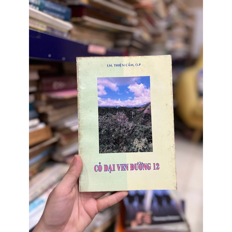Cỏ Dại Ven Đường 12 454120