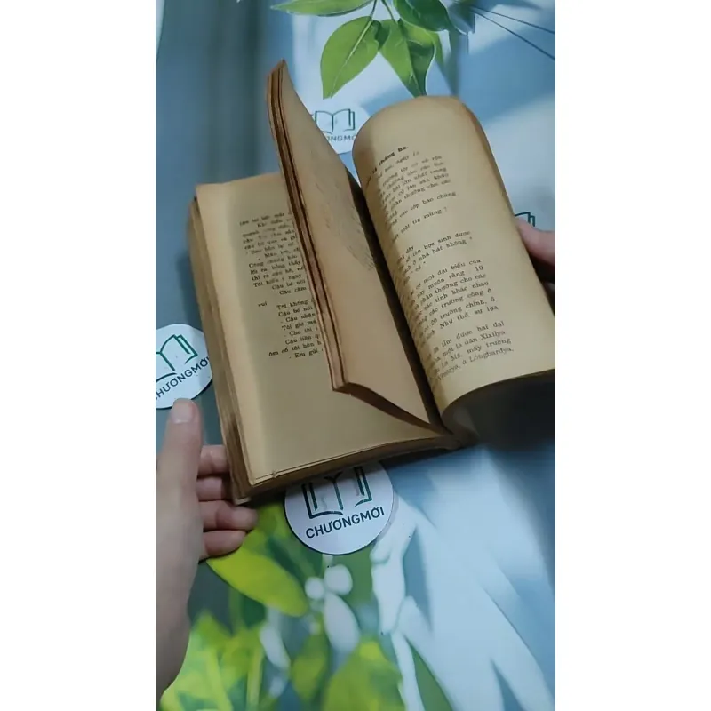 Tâm Hồn Cao Thượng (1989) 713894