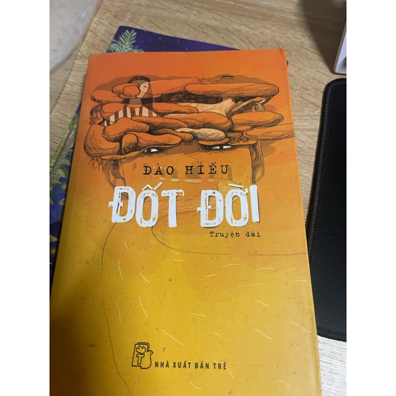 Sách Đốt Đời của tác giả Đào Hiếu, truyện dài, đã bốc seal và nhìn có hơi cũ  199147