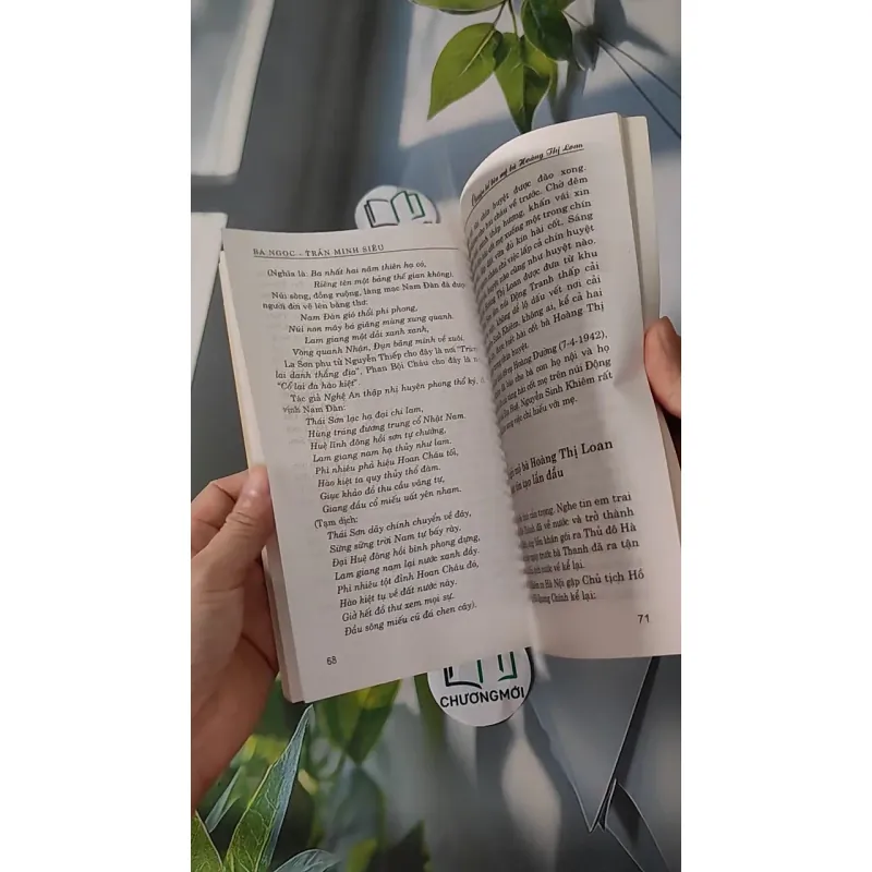 Chuyện Kể Bên Mộ Bà Hoàng Thị Loan - Bá Ngọc & Trần Minh Siêu 970231