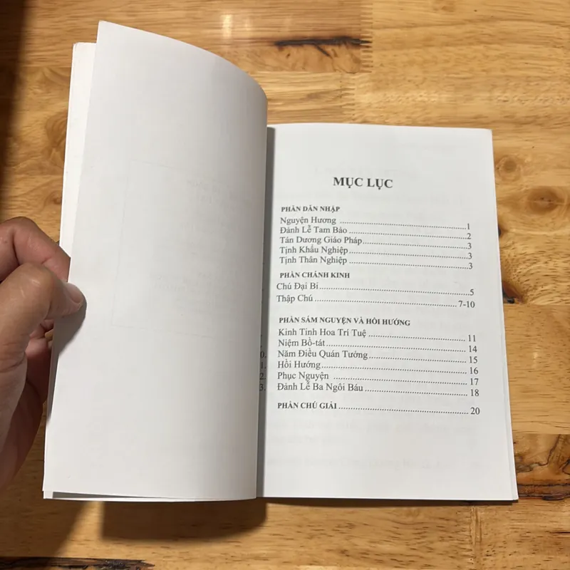 II Sách Phật Giáo: Nghi Thức Thập Chú - Thích Nhật Từ (Biên Soạn) - 2009 694038