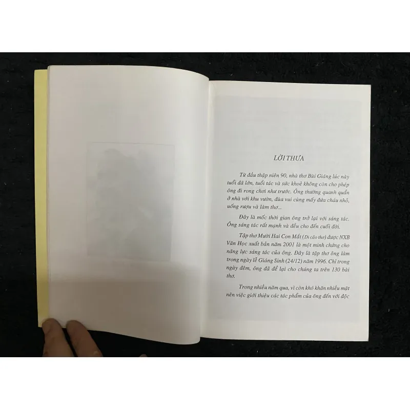 12 con mắt- Bùi Giáng 1027657