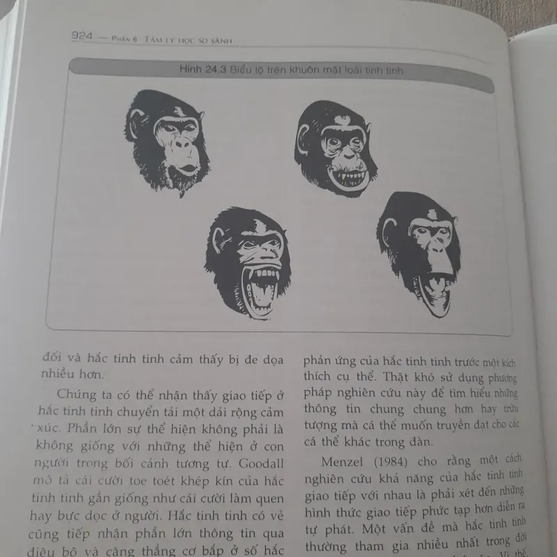 Nền tảng Tâm Lý Học. Nicky Hayes. Nguyên tác Foudations of Psychology.  605062