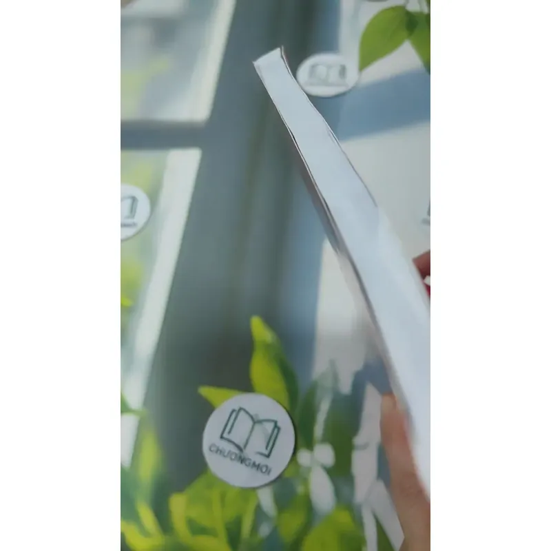 Hoàng Lịch Thông Thư 2023 - 2033 727380