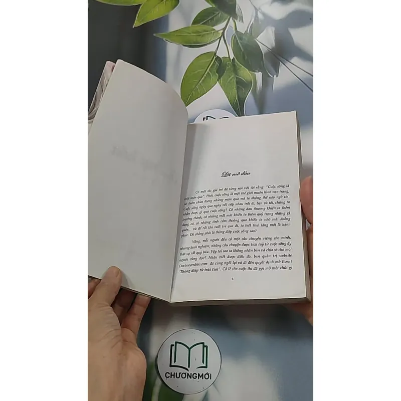 Vị nụ hôn 688654