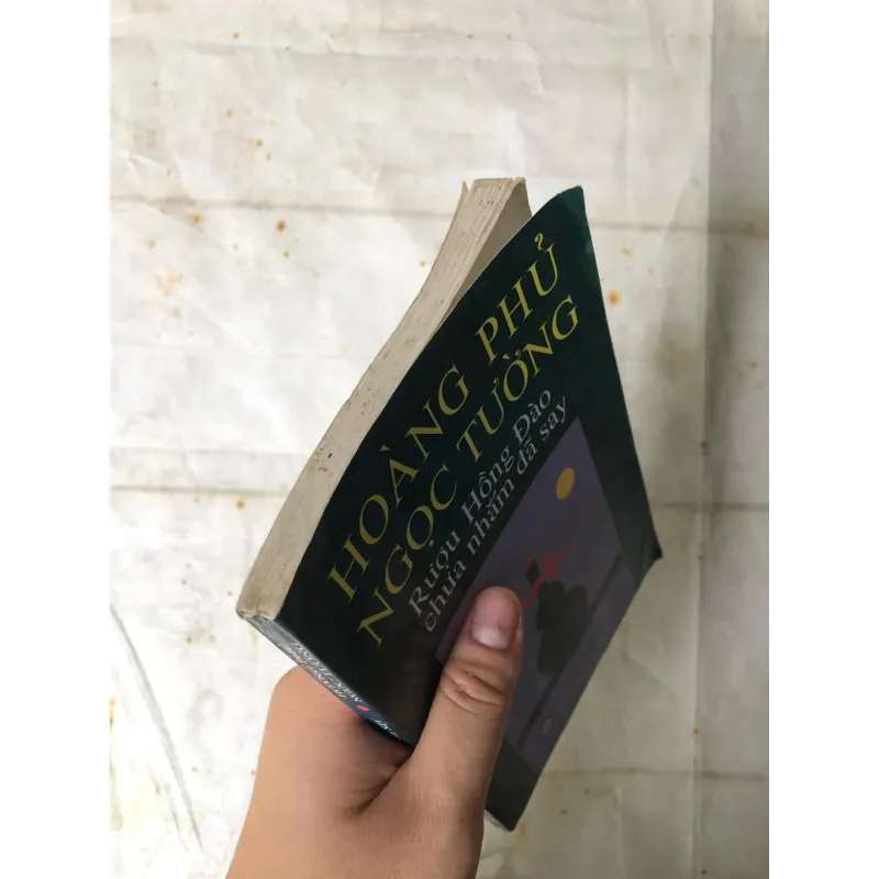 Rượu Hồng Đào Chưa Nhắm Đã Say - Hoàng Phủ Ngọc Tường 785296