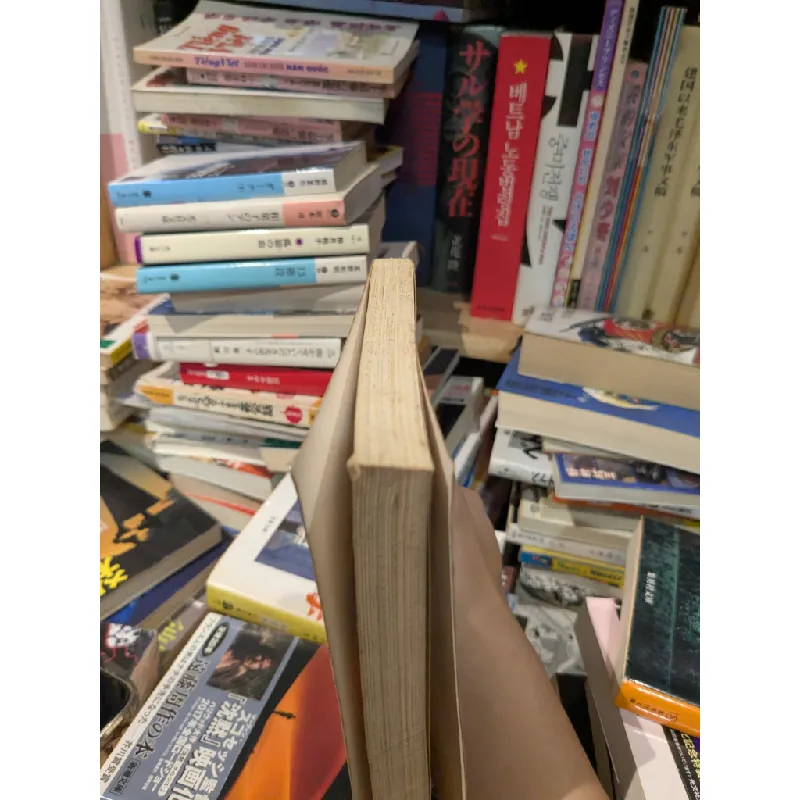 Tứ đại mỹ nhân Trung Hoa 593193