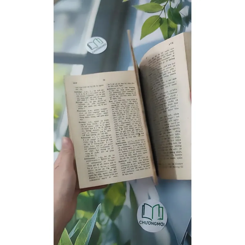 [MIỄN PHÍ BỌC SÁCH] [XƯA] Từ Điển Pháp - Việt (1986) - Dặng Đình Thường chủ biên 997828