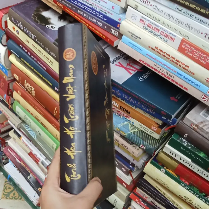 Tinh Hoa Họ Trần Việt Nam  936477