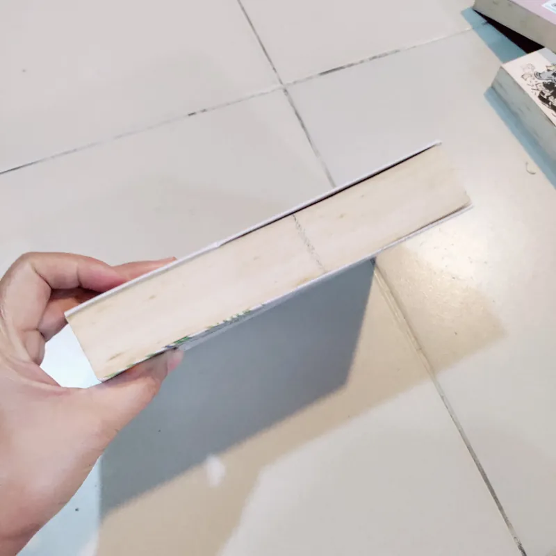 Hồi kí Sơn Nam 596273