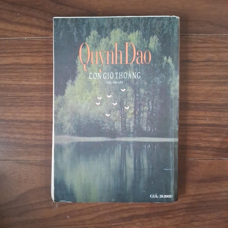 Cơn gió thoảng 507987