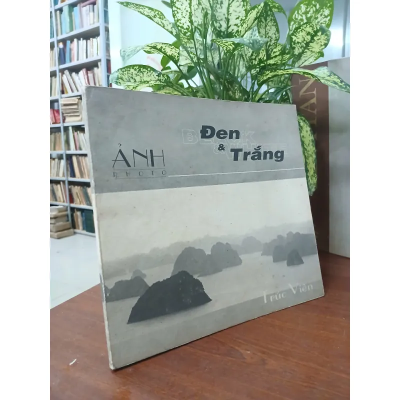 ẢNH ĐEN & TRẮNG 559316