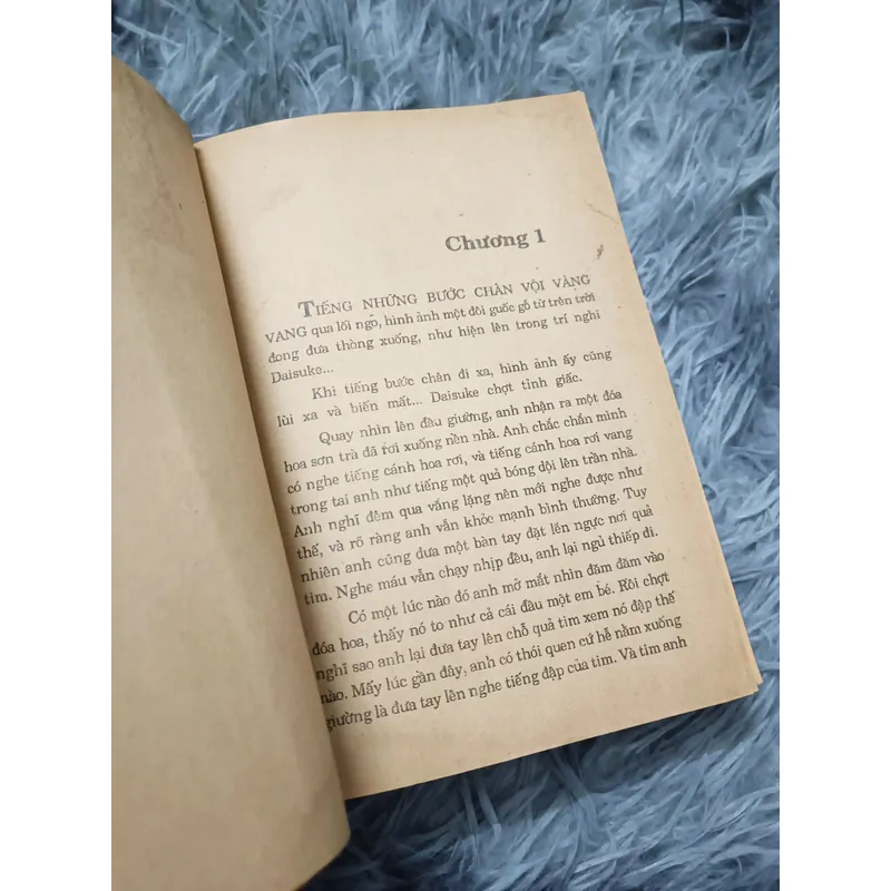 Tình yêu không quên (Natsume Soseki) 675609