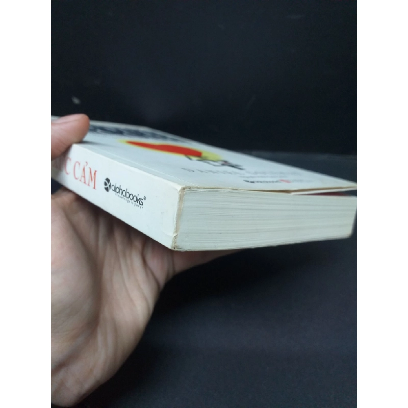 Trí tuệ xúc cảm mới 80% ố bẩn nhẹ 2018 HCM1410 Daniel Goleman TÂM LÝ 340374
