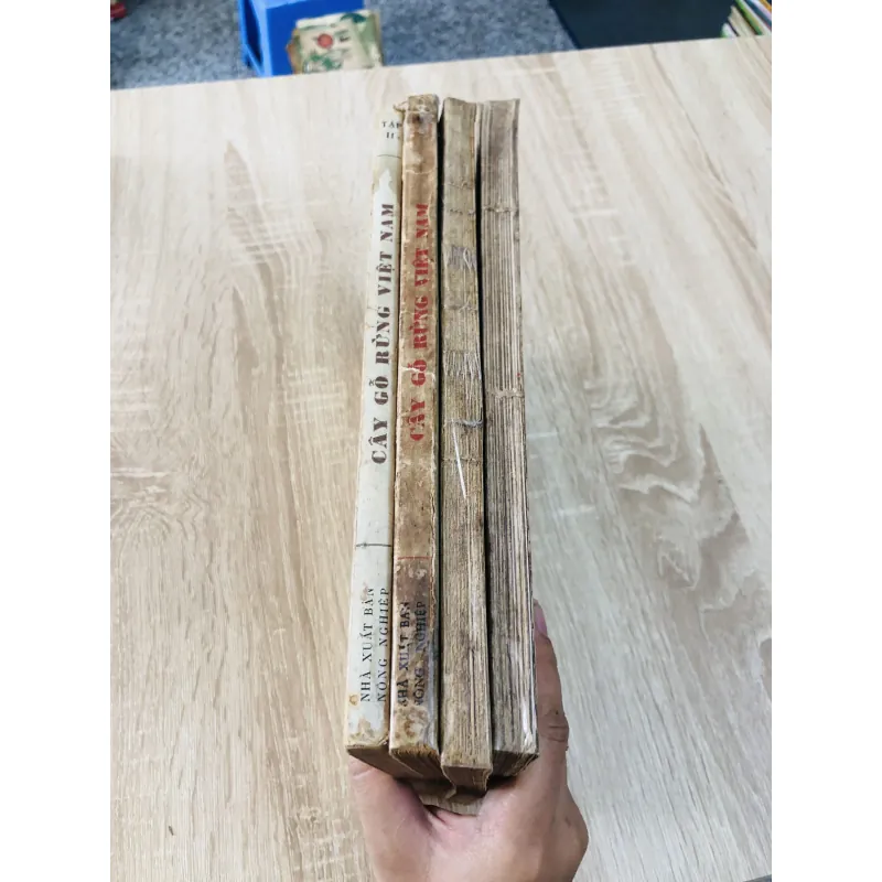 CÂY GỖ RỪNG VIỆT NAM ( tập 2,4,5,6) 956969