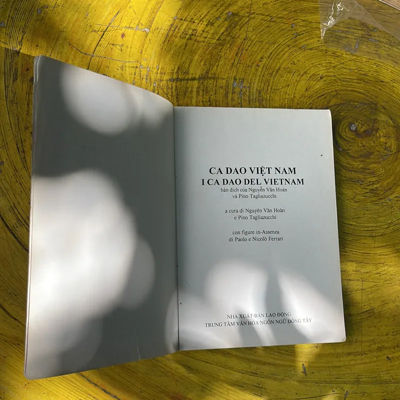 COMBO STORIES OF THE NGUYỄN DYNASTY’S KINGS & CA DAO  VIỆT NAM - I CA DAO DEL VIETNAM 735790