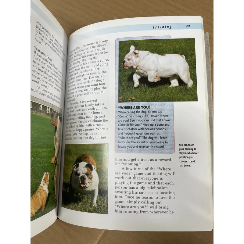 Bulldog - A Kennel Club Book 313504