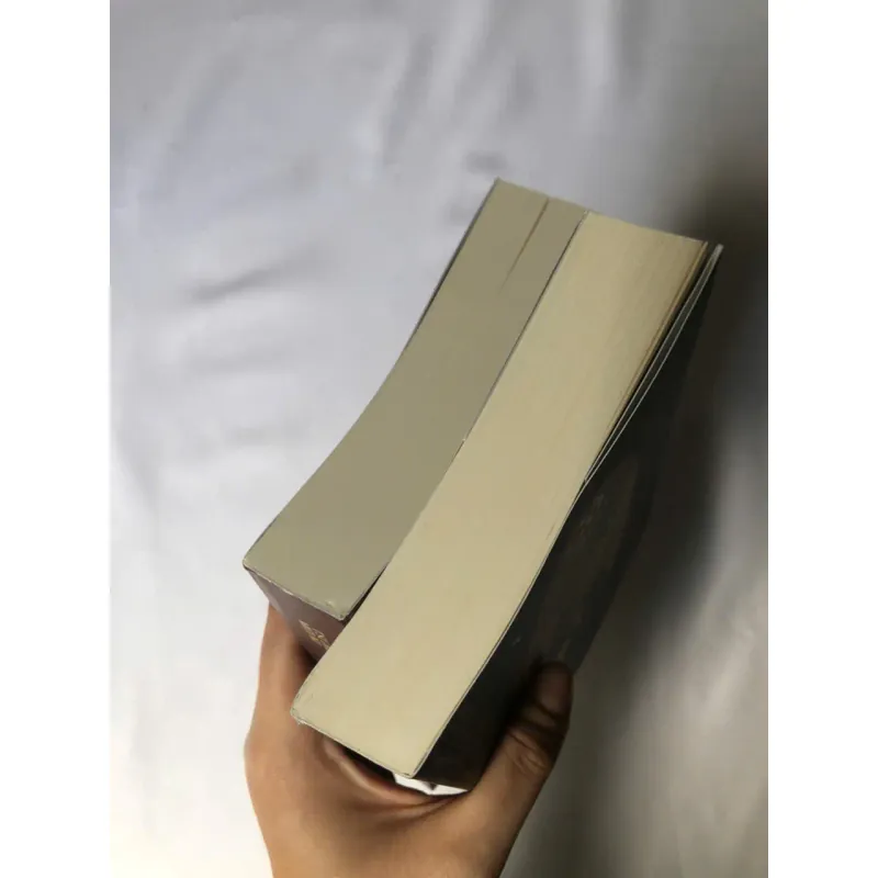 Cô Thành Trong Gương - Tsujimura Mizuki 799490