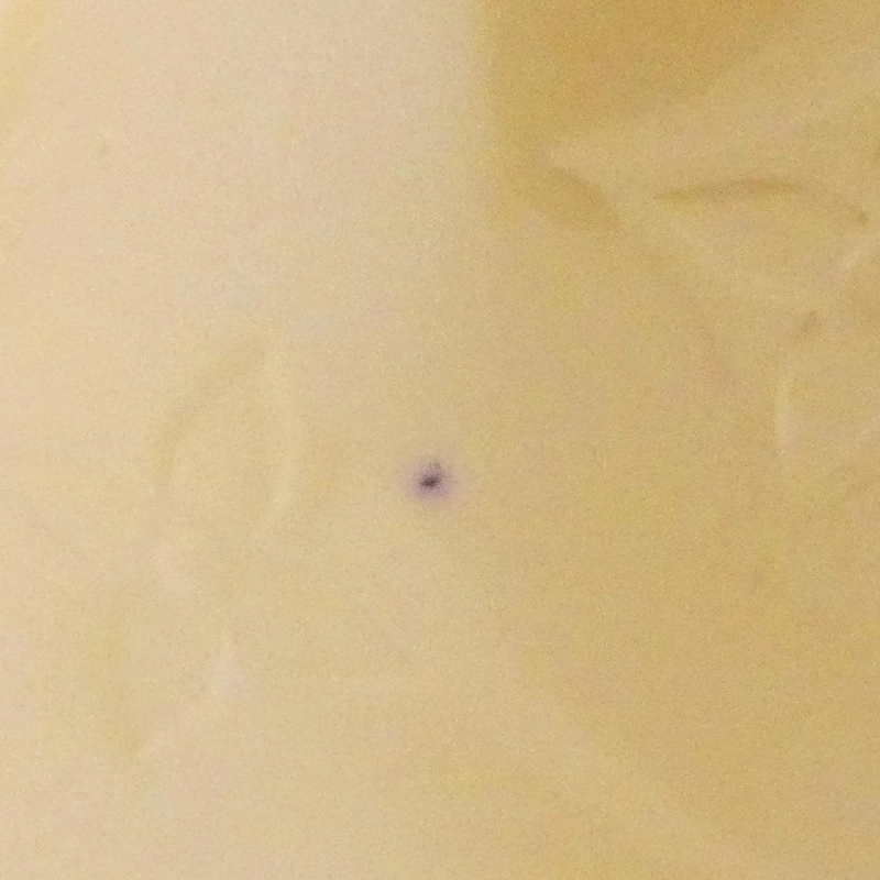 Túi Louis Vuitton Vernis Wilshire PM M91643 - Hàng hiệu Chính hãng 803984