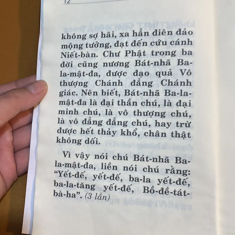 Kinh Địa Tạng Bồ Tát Bổn Nguyện - Thích Trúc Thạnh Hòa Việt dịch 605263