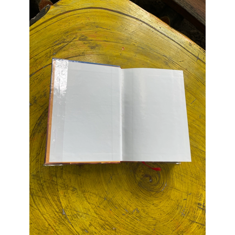 TIẾNG CHIM HÓT TRONG BỤI MẬN GAI- COLLEEN MC CULLOUGH 549589