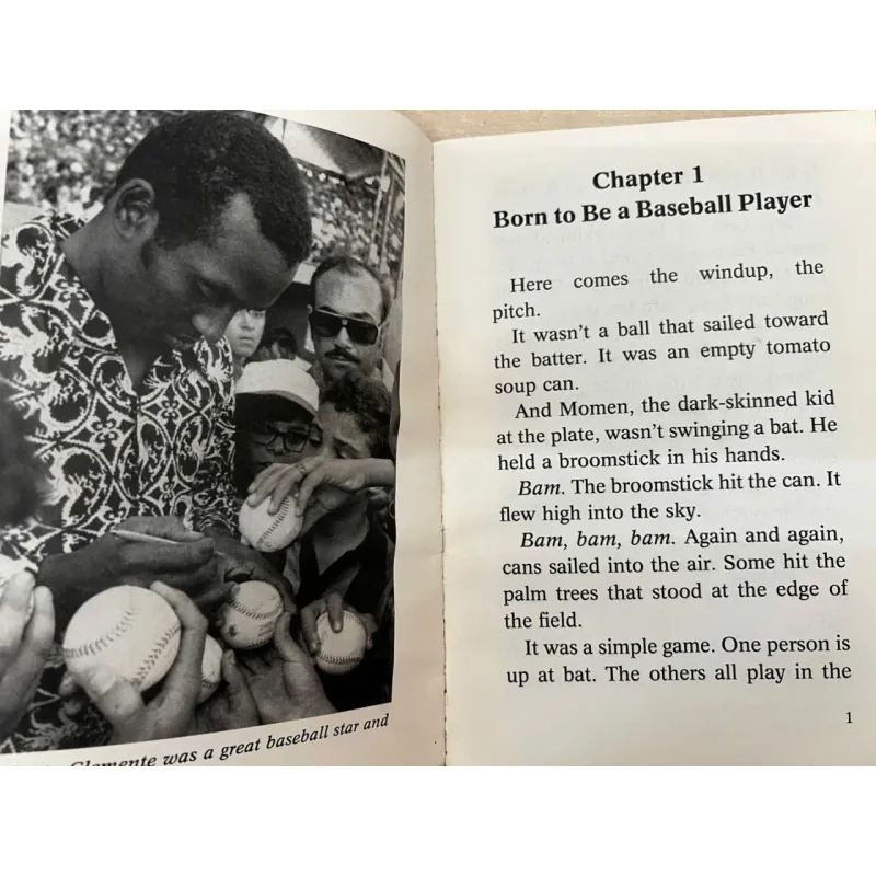 Roberto Clemente- We'll never forget you 753370