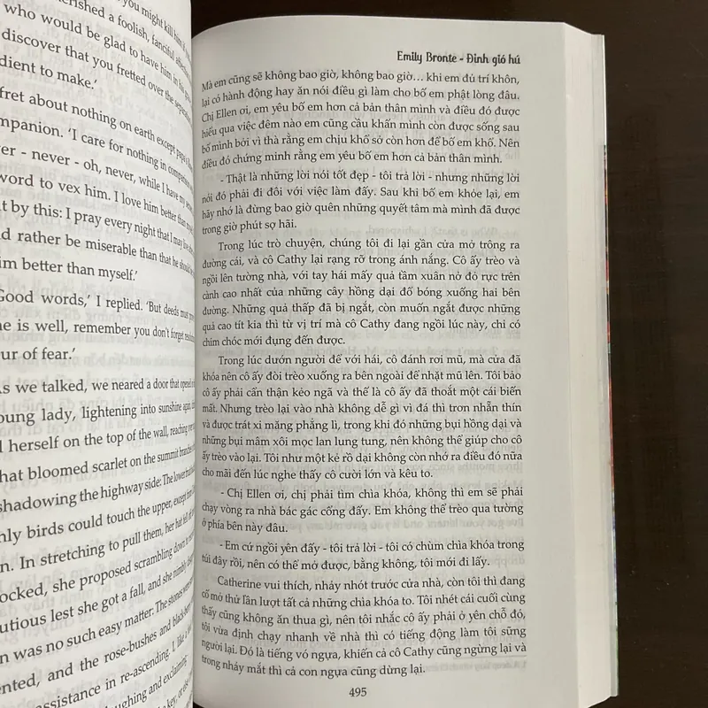 [SONG NGỮ ANH- VIỆT] ĐỈNH GIÓ HÚ - Emily Bronte 717042