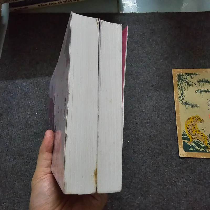 Từng thề ước - Đồng Hoa 759499