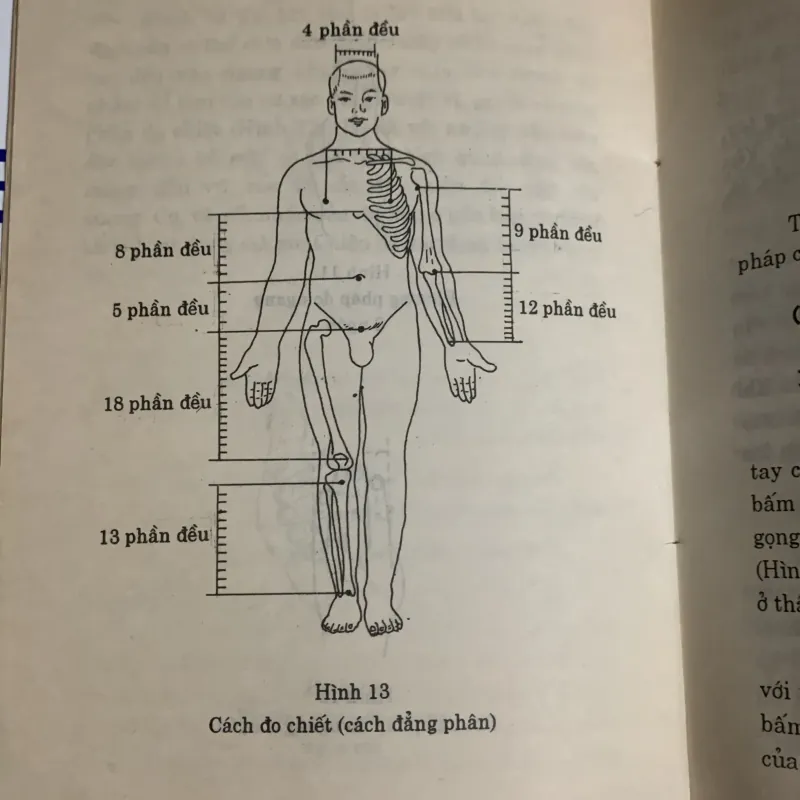 Liệu pháp bấm huyệt, NXB Y học, in năm 1998 936930