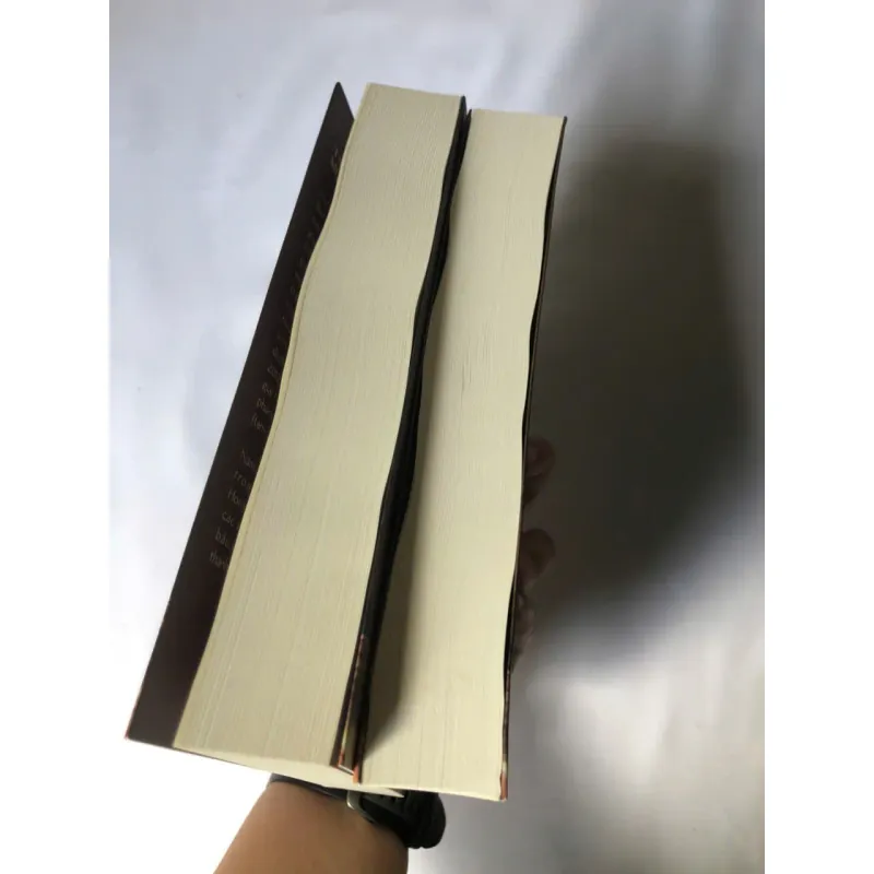 Cô Thành Trong Gương - Tsujimura Mizuki 799490