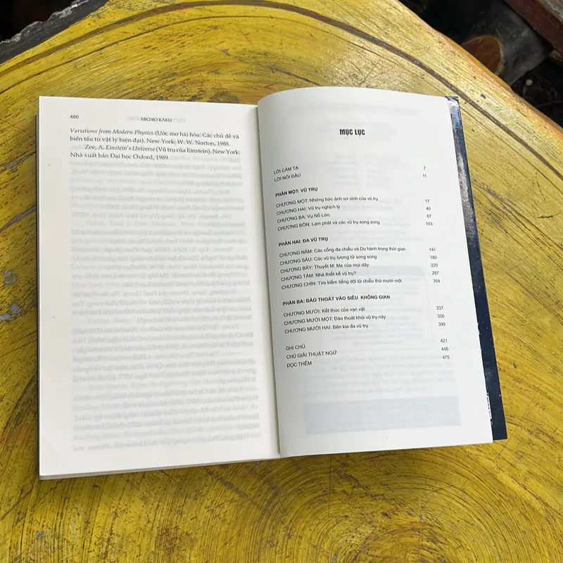 CÁC THẾ GIỚI SONG SONG - MICHIO KAKU 736239