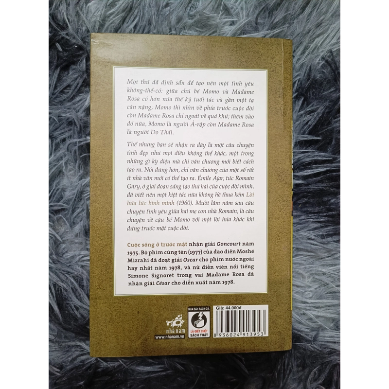 Cuộc sống ở trước mặt (Romain Gary) 528454