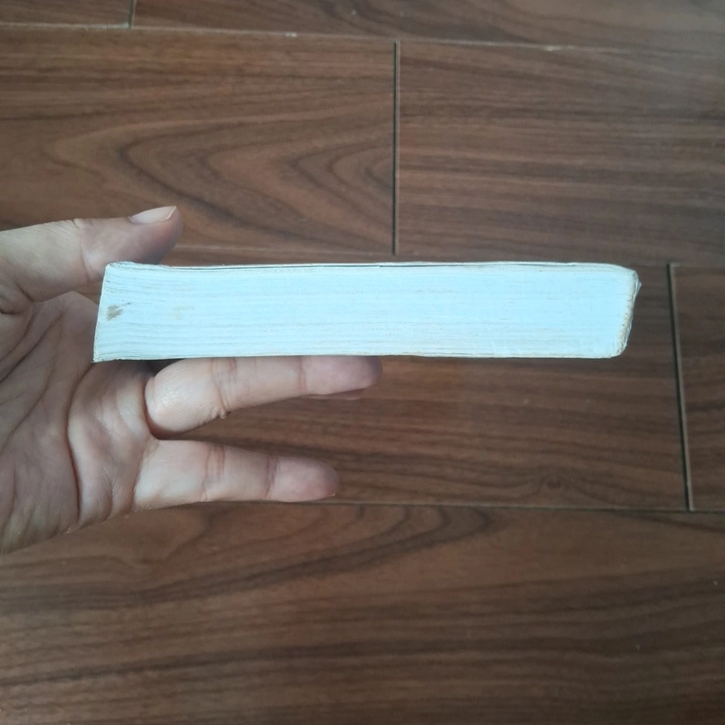 Hẹn đẹp như mơ 508607