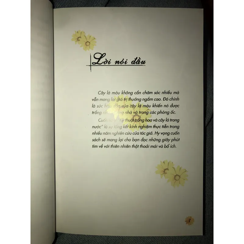 Kỹ thuật trồng hoa và cây lá trong nước 722961