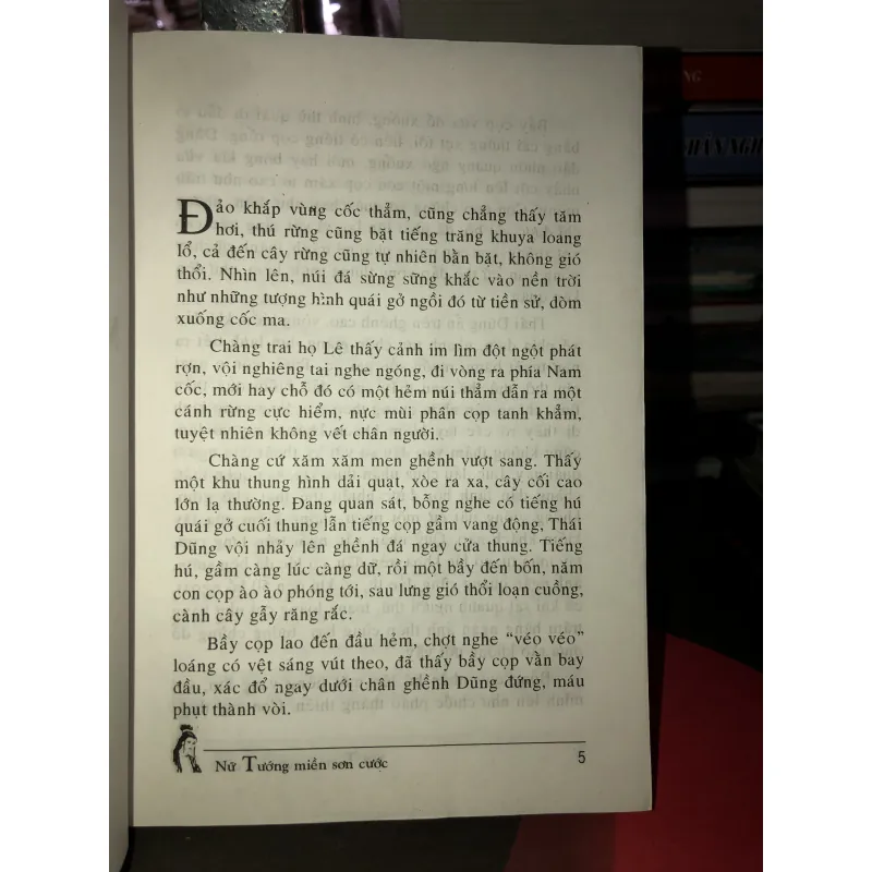 Nữ tướng miền sơn cước (Giặc cái) - Hoàng Ly 993328