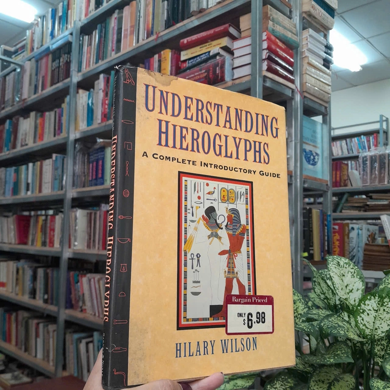 UNDERSTANDING HIEROGLYPHS -HILARY WILSON 493236