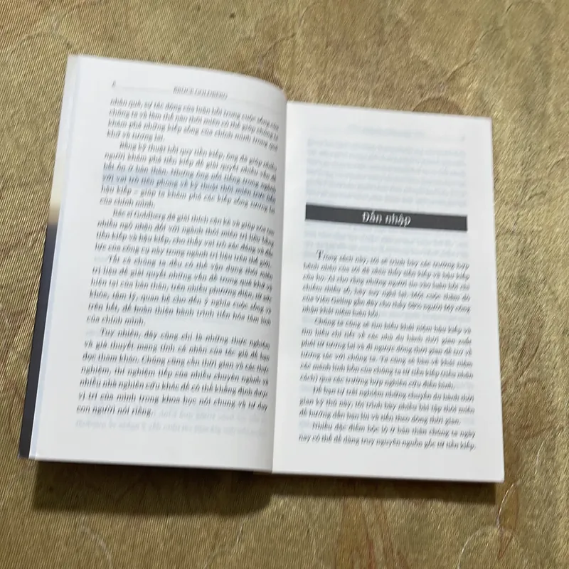 KHÁM PHÁ TIỀN KIẾP VÀ HẬU KIẾP- BRUCE GOLDBERG 688301