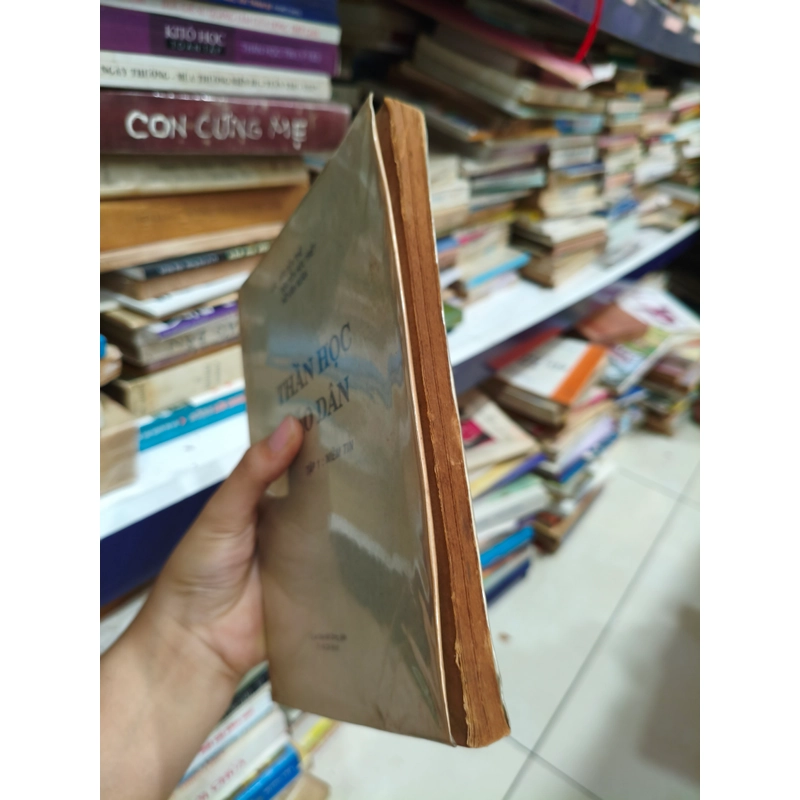 Thần học giáo dân 🌱 464003