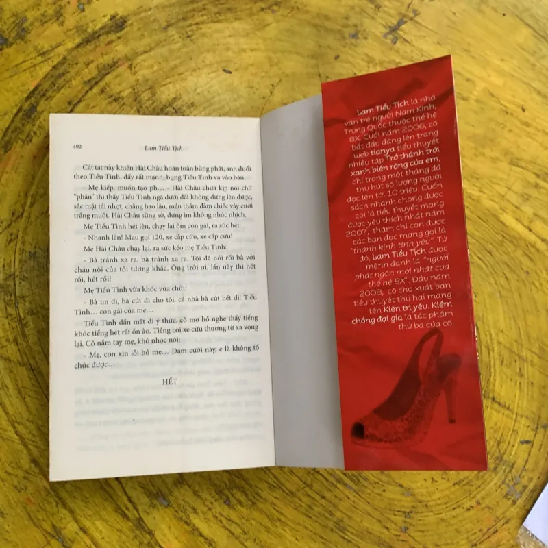 KIẾM CHỒNG ĐẠI GIA - Lam tiểu tịch 744802