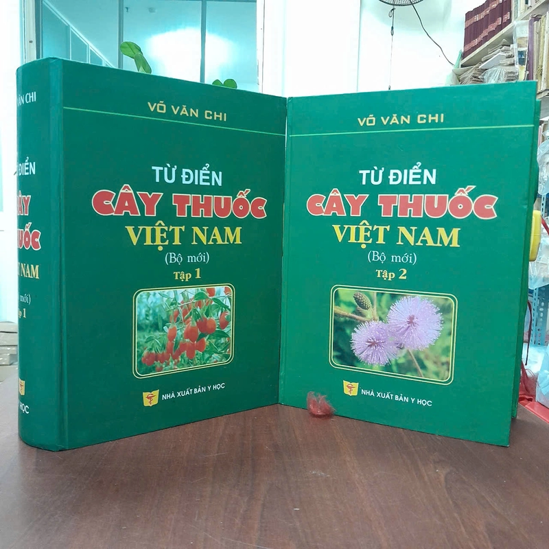 TỪ ĐIỂN CÂY THUỐC VIỆT NAM - VÕ VĂN CHI 455989