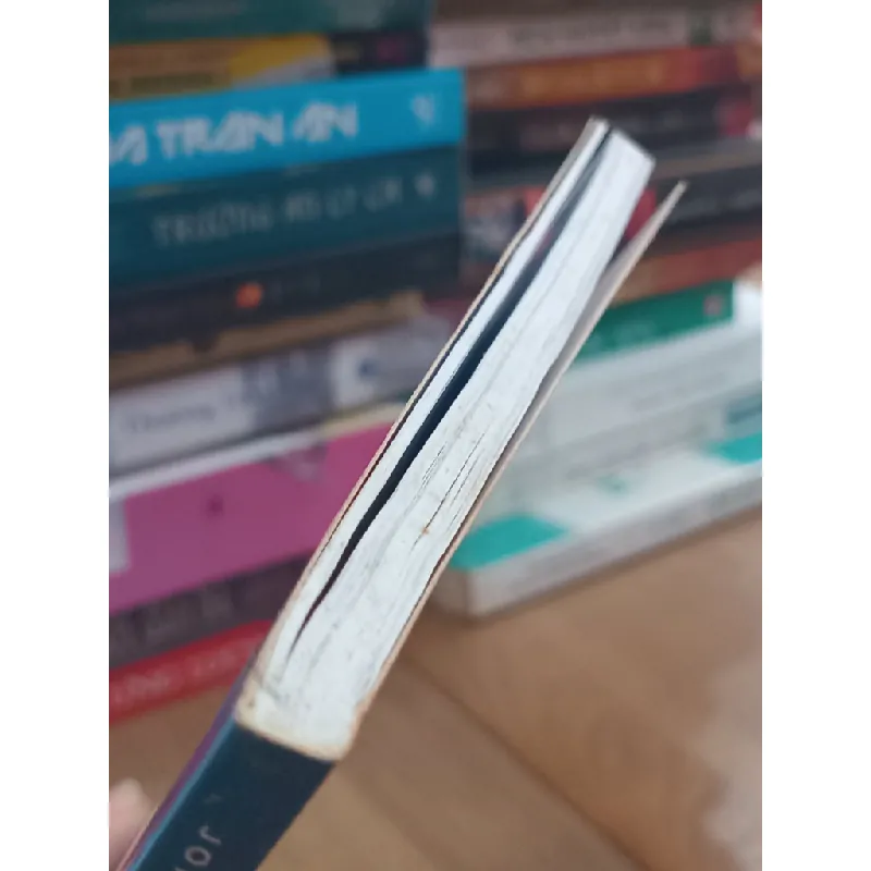 Lược truyện Đức Phật Thích Ca - Jonathan Landaw (Thích Chân Tính dịch) 719472