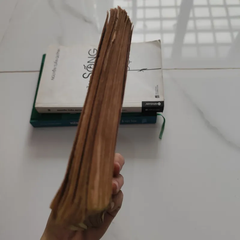 Bức họa Maja khỏa thân  575540