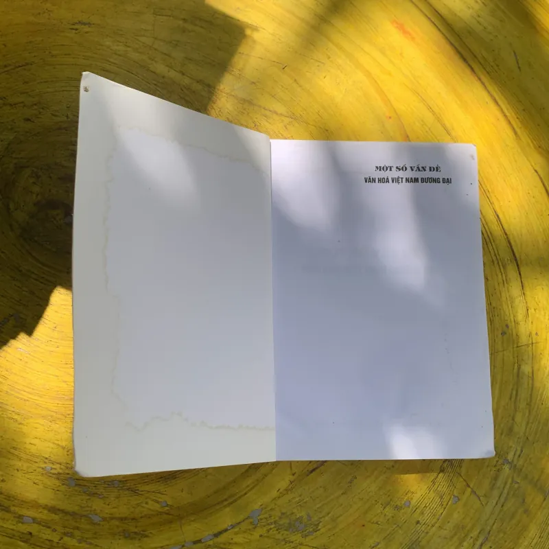 COMBO MỘT SỐ VẤN ĐỀ VỀ VĂN HOÁ VIỆT NAM ĐƯƠNG ĐẠI & DẪN LUẬN NGÔN NGỮ HỌC  785680