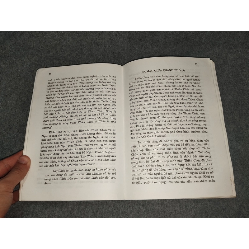 HẠT GIỐNG ÂM THẦM 517737