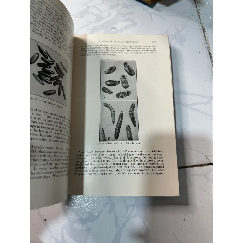 Kiểm tra xử lý và chế biến thịt 1008222